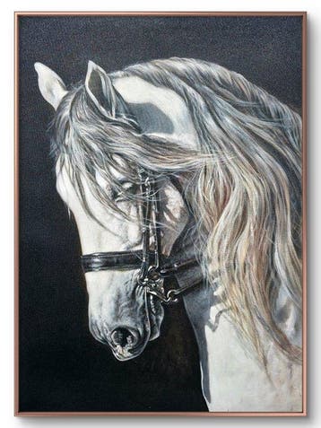 Reinier Nogueras (1985) - Serie ¨Nobleza¨