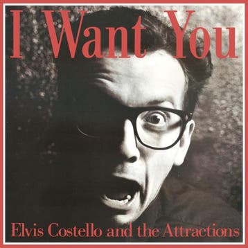 Elvis Costello &amp; The Attractions - I Want You, Verzenden, Gebruikt
