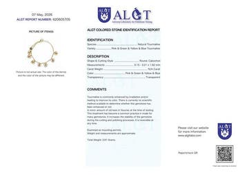 No Reserve - ALGT-gecertificeerd - Natuurlijke toermalijn