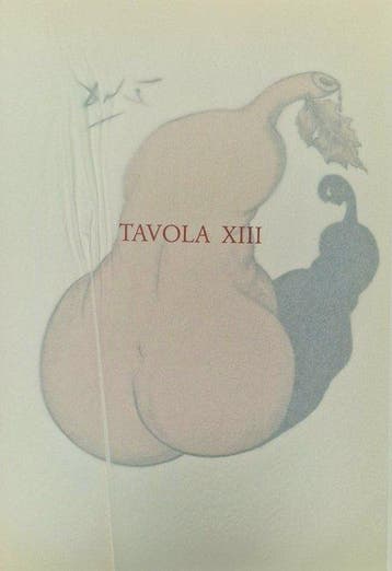 Salvador Dali (1904-1989) - Casanova, 1980, Tavola XIII