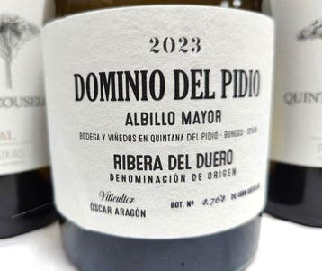 2023 Dominio del Pidio Albillo x1 & 2024 Quinta de Couselo, Nieuw