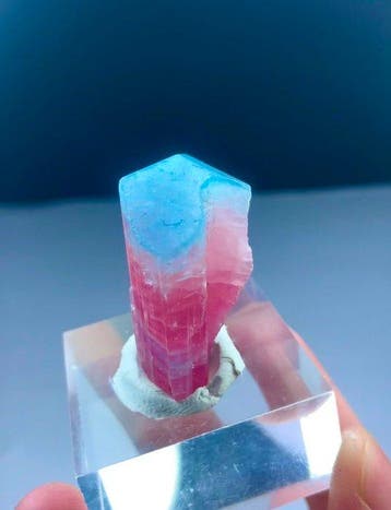 Tourmaline à cap bleu Cristal - Hauteur : 33 mm - Largeur :