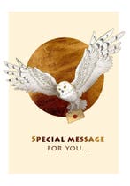 SIC EDY  HARRY POTTER 1, Diversen, Wenskaarten, Ophalen of Verzenden, Nieuw