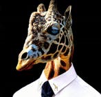 Bonaschi (1959) - Poltrona n°121221