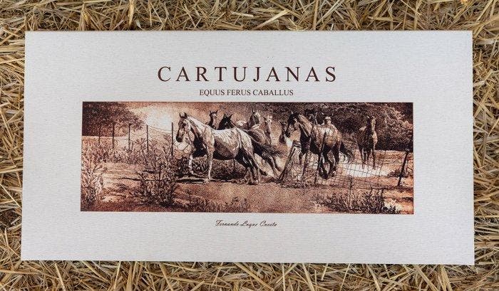 Fernando Luque Cuesta - Cartujanas 4/4, Antiek en Kunst, Kunst | Designobjecten