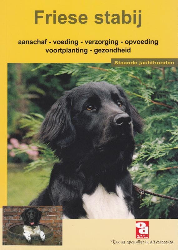 De Friese stabij / Over Dieren / 165 9789058211736, Boeken, Hobby en Vrije tijd, Zo goed als nieuw, Verzenden