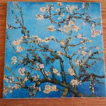 Galerie Teejo - Daprès Vincent van Gogh – Amandier en