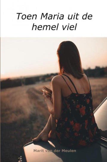Toen Maria uit de hemel viel 9789464804034, Verzenden, Zo goed als nieuw, Marit Van der Meulen