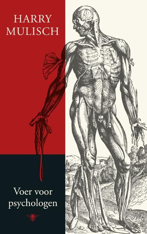 Voer voor psychologen 9789023458739 Harry Mulisch, Boeken, Romans, Zo goed als nieuw, Verzenden