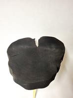 THE FOREST Art & Woodworking Studio - Paszko - Salontafel -