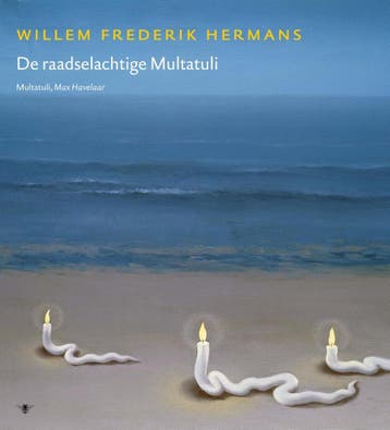 Volledige werken 17 / Volledige werken van W.F. Hermans / 17, Boeken, Romans, Verzenden, Zo goed als nieuw, Willem Frederik Hermans