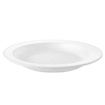 Witte Borden Herbruikbaar 25cm 6st, Verzenden