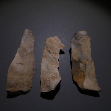 Néolithique 3 silex. 7 cm de long. Couteau - 5000 av. J.-C., Collections