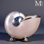 Kabinet der curiosa - Parelmoeren Nautilus – Zilveren, Verzamelen, Mineralen en Fossielen