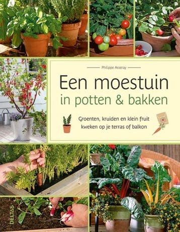 Een moestuin in potten & bakken 9789044760033, Verzenden, Philippe Asseray