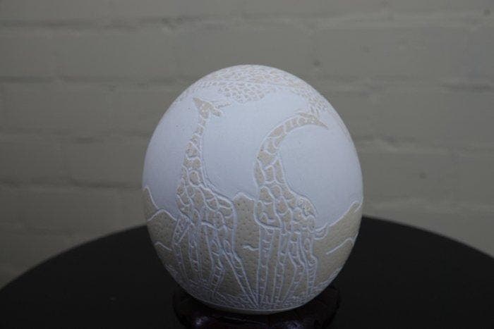 carved Ostrich Egg Giraffe Taxidermie volledige montage -, Antiquités & Art, Curiosités & Brocante