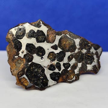 -endcut- PALLASITE météorite. SERICHO (Kenya, 2016)
