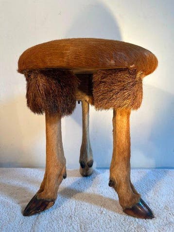 Tabouret - Vraie peau et pieds - antilope