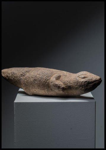 salamander - Dogon - Mali