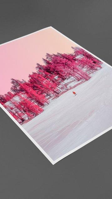 Téber - Frozen Memories (Strawberry) · XL