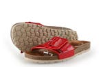 Verbenas Muiltjes in maat 41 Rood, Kleding | Dames, Schoenen, Verzenden, Verbenas, Gedragen, Rood