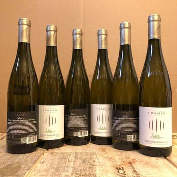 2024 Tramin, Gewurztraminer Selida - Alto Adige DOC - 6, Nieuw