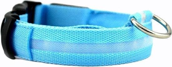 2dekans | Lichtgevende Halsband LED Maat XL 42 - 56 cm USB, Animaux & Accessoires, Accessoires pour chiens, Enlèvement ou Envoi