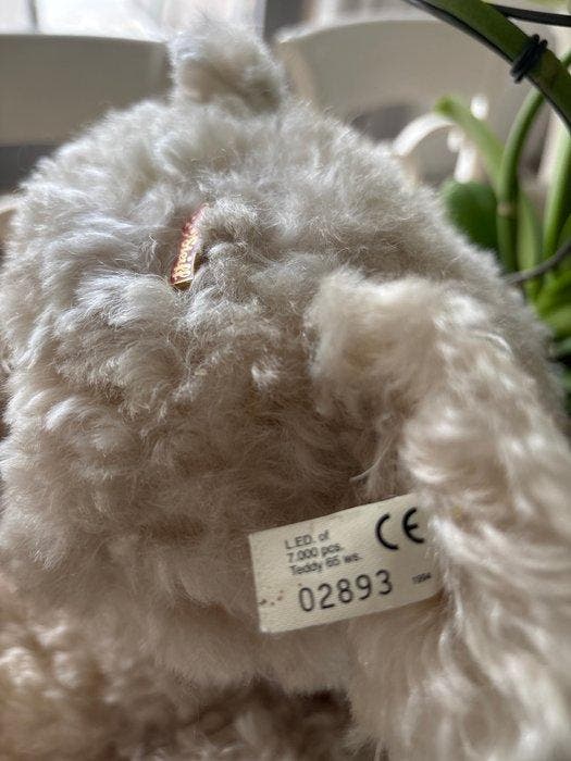 Steiff - Teddybeer Teddy 65 WS - 1990-2000 - Duitsland, Antiek en Kunst, Antiek | Speelgoed