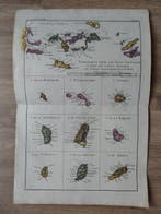 Zuid-Amerika - [LOT van 3] - Antillen, Caribisch gebied,, Boeken, Nieuw