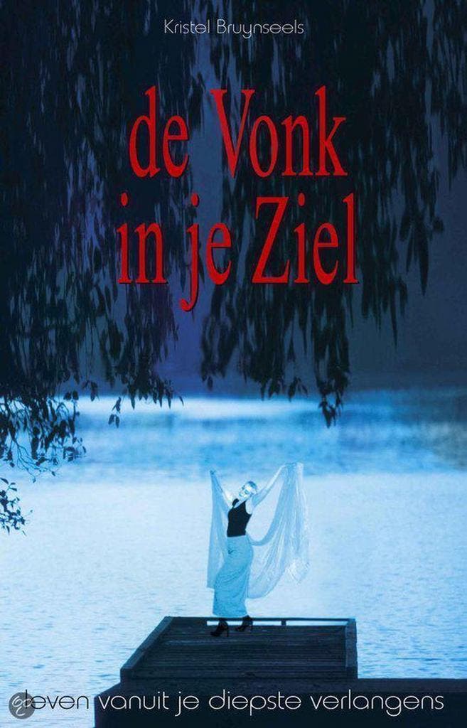 De vonk in je ziel 9789055991396 K. Bruynseels, Livres, Psychologie, Envoi