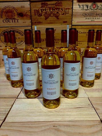 2023 Château Haut Galouchey du vignoble château Laville en, Verzamelen, Wijnen, Nieuw