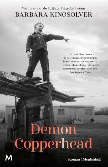 Demon Copperhead 9789029098656 Barbara Kingsolver, Verzenden, Gelezen, Barbara Kingsolver