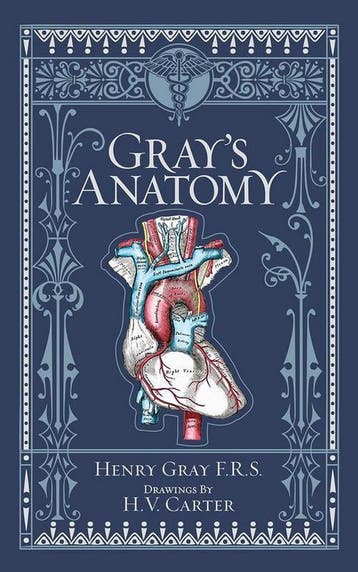 Grays Anatomy 9781435167919 Henry Gray, Livres, Verzenden, Henry Gray