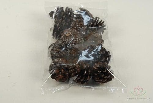 Dennenappels Pinecone Lak 250gr, Hobby en Vrije tijd, Knutselen, Nieuw
