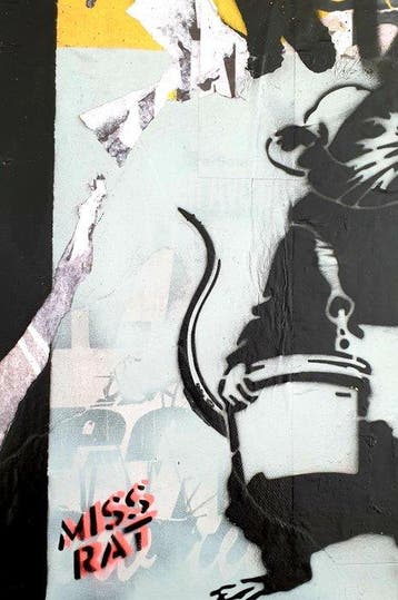 MISS RAT (1981) - Wall of Banksy rat