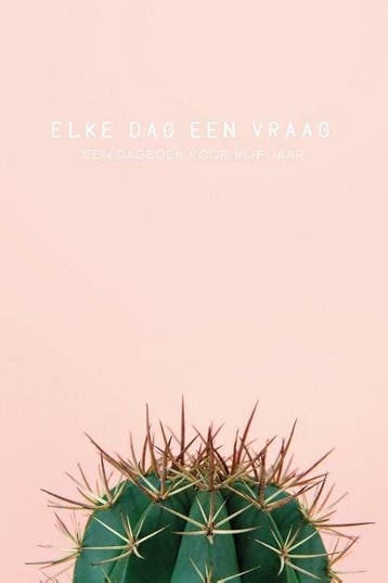 Elke dag een vraag (9789045323190), Livres, Livres Autre, Verzenden