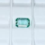Zonder minimumprijs Smaragd - 2.75 ct - International, Nieuw