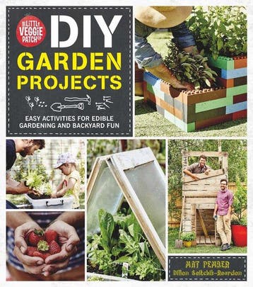 The Little Veggie Patch 9781743790991 Matt Pember, Verzenden, Matt Pember