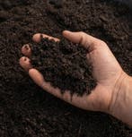 Tuin Compost Groencompost (tuin, beplanting, planten), Compost