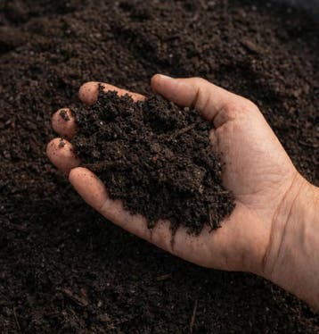 Tuin Compost Groencompost (tuin, beplanting, planten), Compost