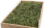 Tillandsia spaansmos forestmos mosgroen 300–350 gram