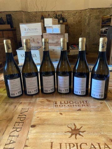 2024 Ricasoli Torricella Chardonnay - Toscane IGT - 6