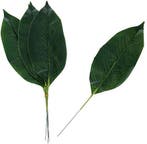 Aspidistrablad Bladeren Botanical Style Pak 6 stuks, Nieuw