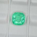 Zonder minimumprijs Smaragd - 4.90 ct - International, Nieuw