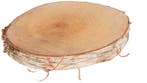Boomstamschijf Berkenschijf rond ca. 13-15 cm, Nieuw