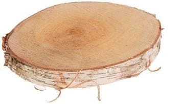 Boomstamschijf Berkenschijf rond ca. 13-15 cm, Nieuw