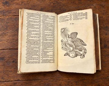 Felice Figliucci - Divine lettere del gran Marsilio Ficino -