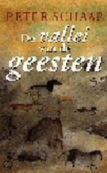 De vallei van de geesten 9789024533848 Peter Schaap, Verzenden, Peter Schaap