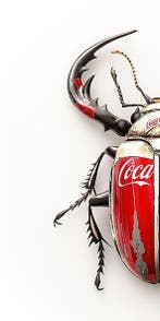 F2B - BeetleCan Coca 4I8