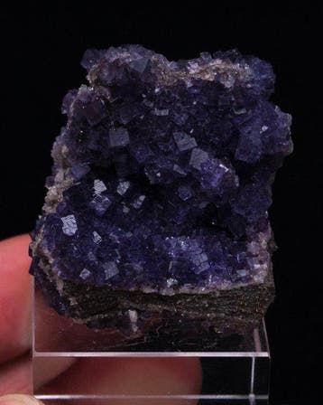 LA VIESCA FLUORIET over kwarts - Hoogte: 3.7 cm - Breedte: